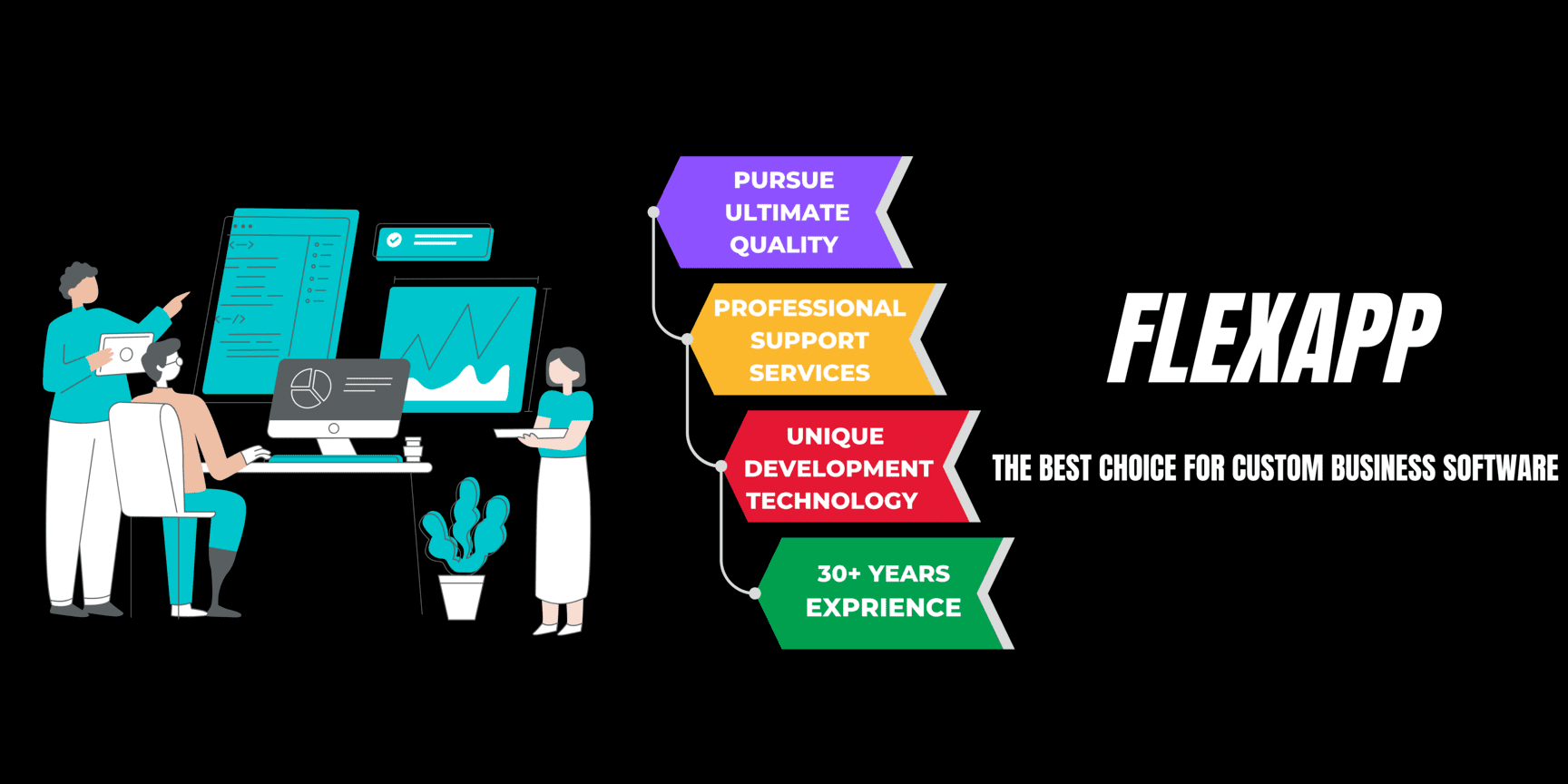 Custom business software flexapp